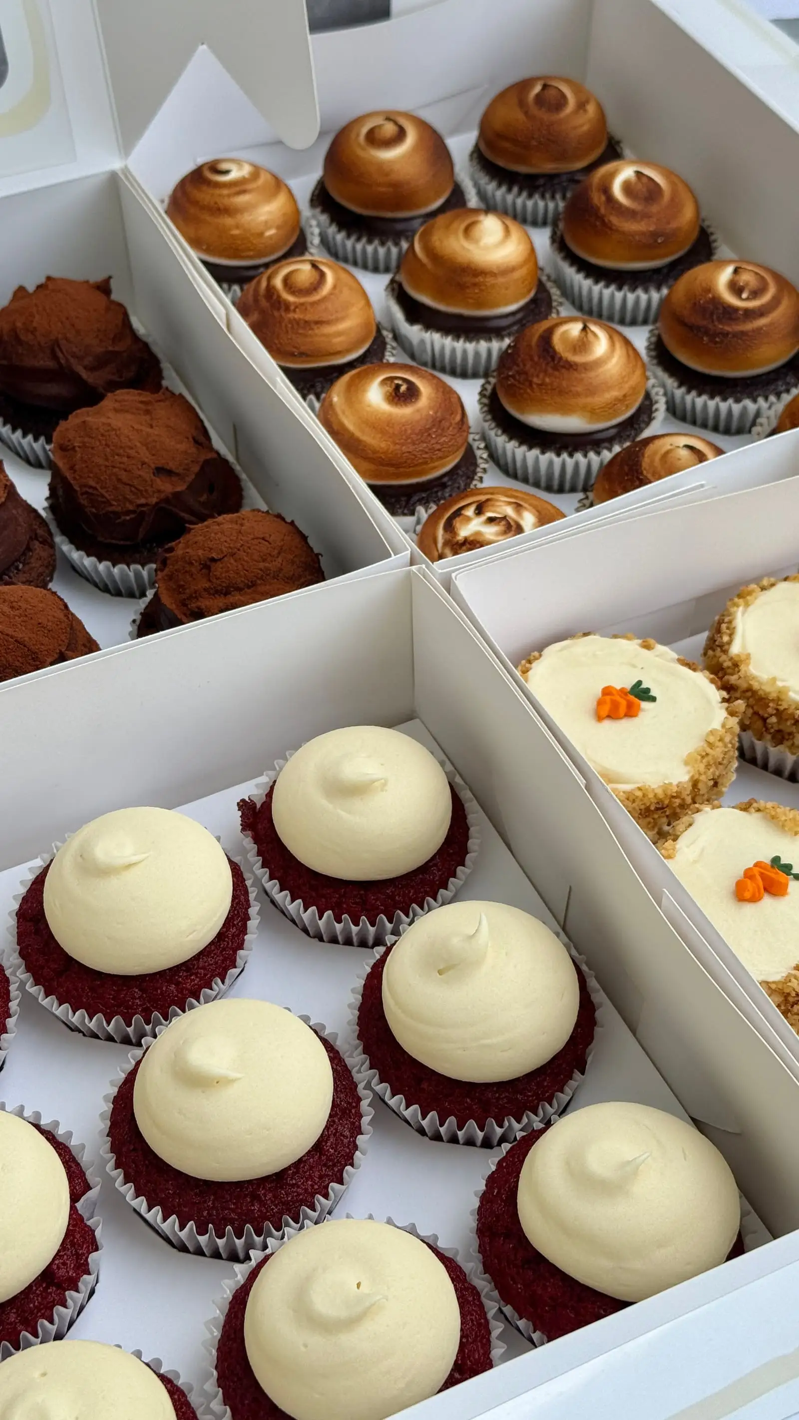 Assorted cupcakes with piped frosting and decorative toppings arranged together.